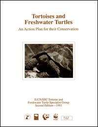 Tortoises and freshwater turtles : an action plan for their conservation