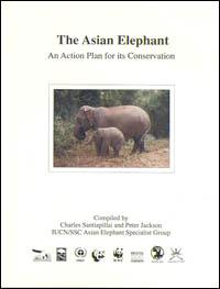 The Asian elephant : an action plan for its conservation