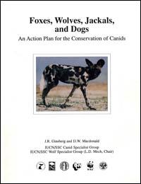 Foxes, wolves, jackals and dogs : an action plan for the conservation of canids