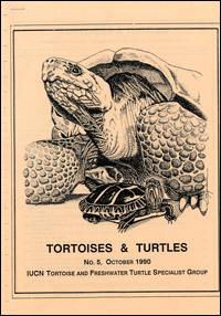 Tortoises and turtles