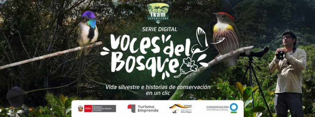 Desarrollo de serie digital Voces del Bosque, serie digital que muestra las principales especies silvestres del Alto Mayo y del norte del Perú