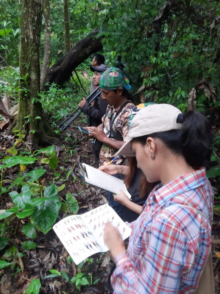 Monitoreo participativo, una estrategia de conservación en la Reserva Biológica Limoncocha