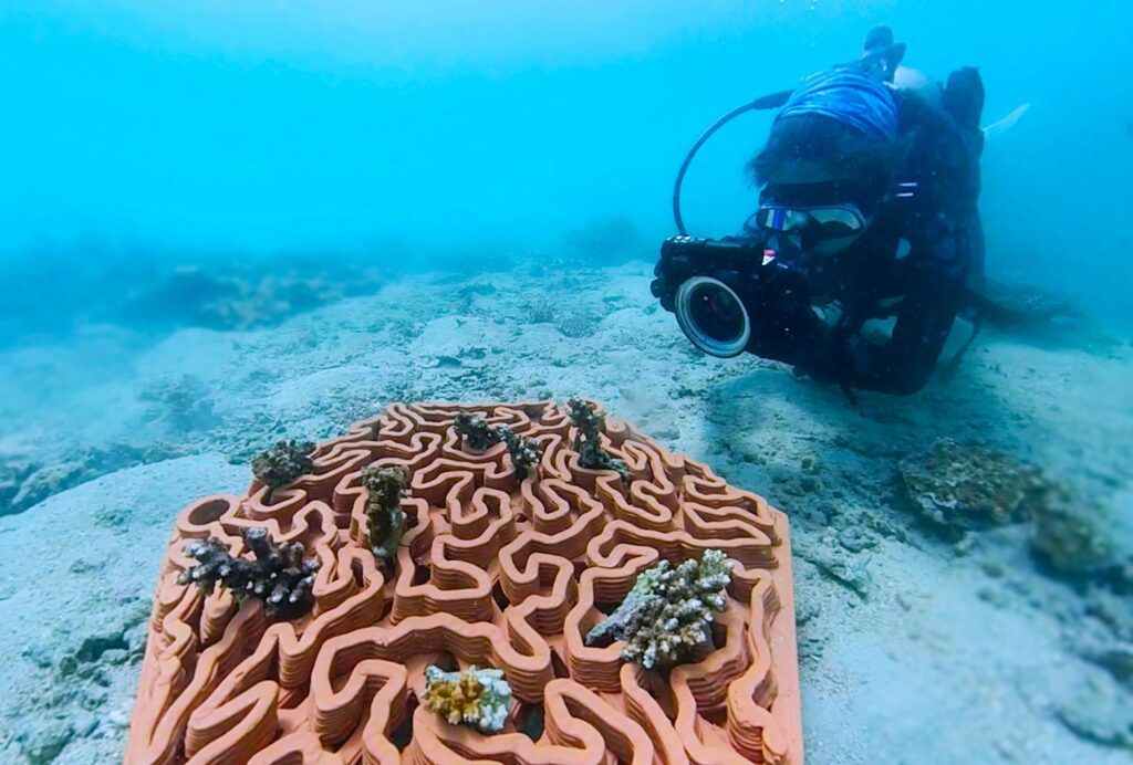 World's First 3D-printed Reef Tiles in Terracotta