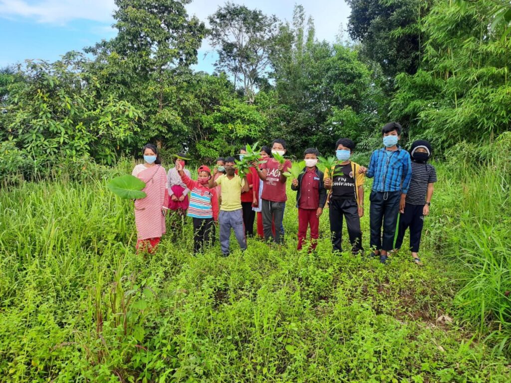 Agrobiodiversity (ABD) Walks with the youths