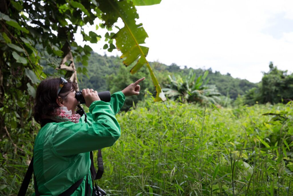 Wildlife Conservation Ecotourism in Nam Et-Phou Louey National Park, Lao PDR