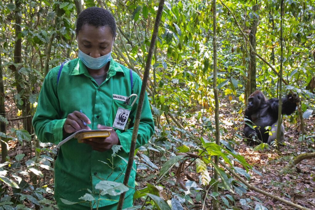 OneHealth Program in the Congo Basin