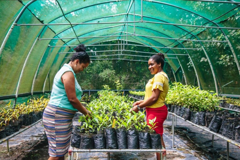 Enhancing Capacity, Knowledge and Technology Support to Build Climate Resilience of Vulnerable Developing Countries through South-South cooperation (EbA South)