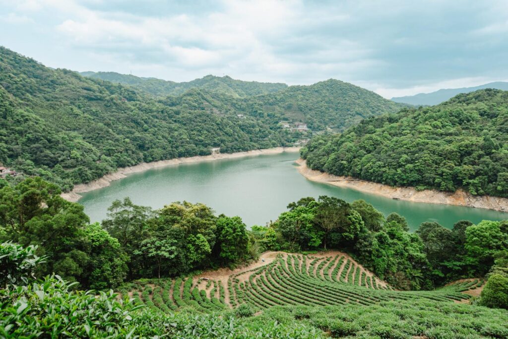 Cuora flavomarginata Conservation and Patrol Project in Shiding District