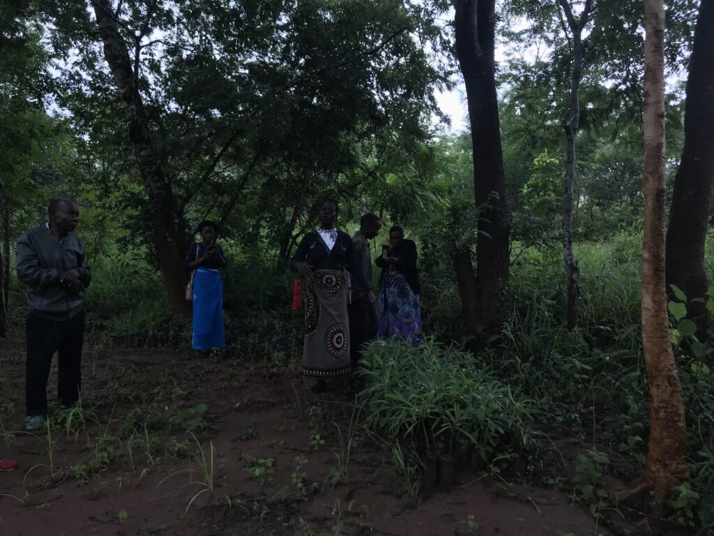 Forestry Restoration for better livelihoods through Assisted Natural Regeneration (ANR) and Biodiversity conservation in Kaning'ina Forest Reserve and communities surrounding it.