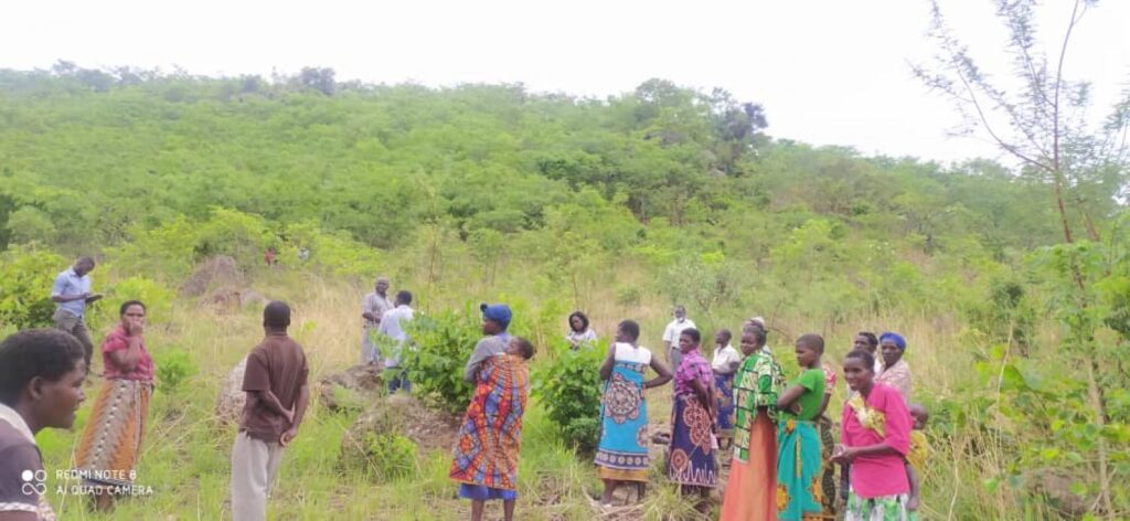 WHO SAID ONLY PROJECTS MATTER? GOMEZA COMMUNITY IN SELF-DRIVE TO CONSERVE THE PROTECTED AREAS