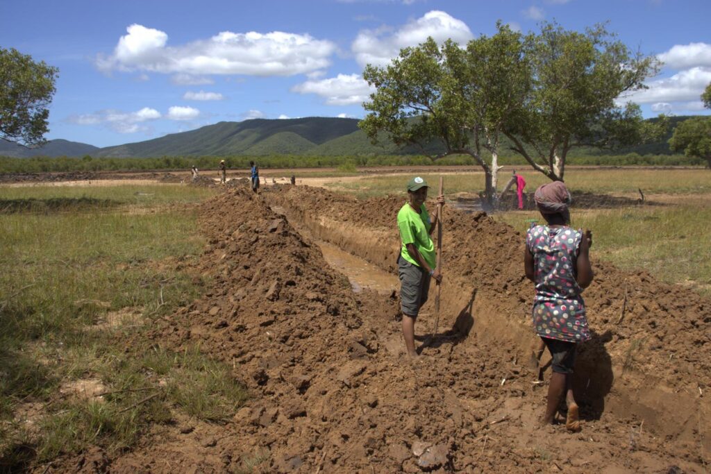 Community-Based and Assisted Natural Mangrove Restoration