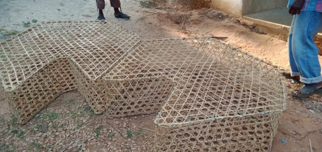 Sustainable basket trap fishing:Uptake of modified basket traps in Mkungunii fishing area,South Coast Kenya