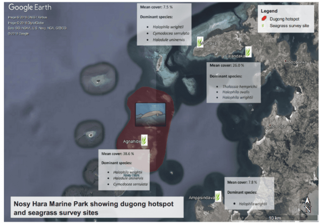 Community-driven seagrass protection and monitoring