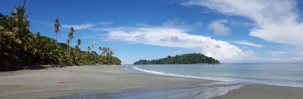 Ecoturismo en el Parque Nacional Natural Gorgona (PNNG), una estrategia orientada a la conservación del área protegida y a la economía de su gente en el Pacífico colombiano.