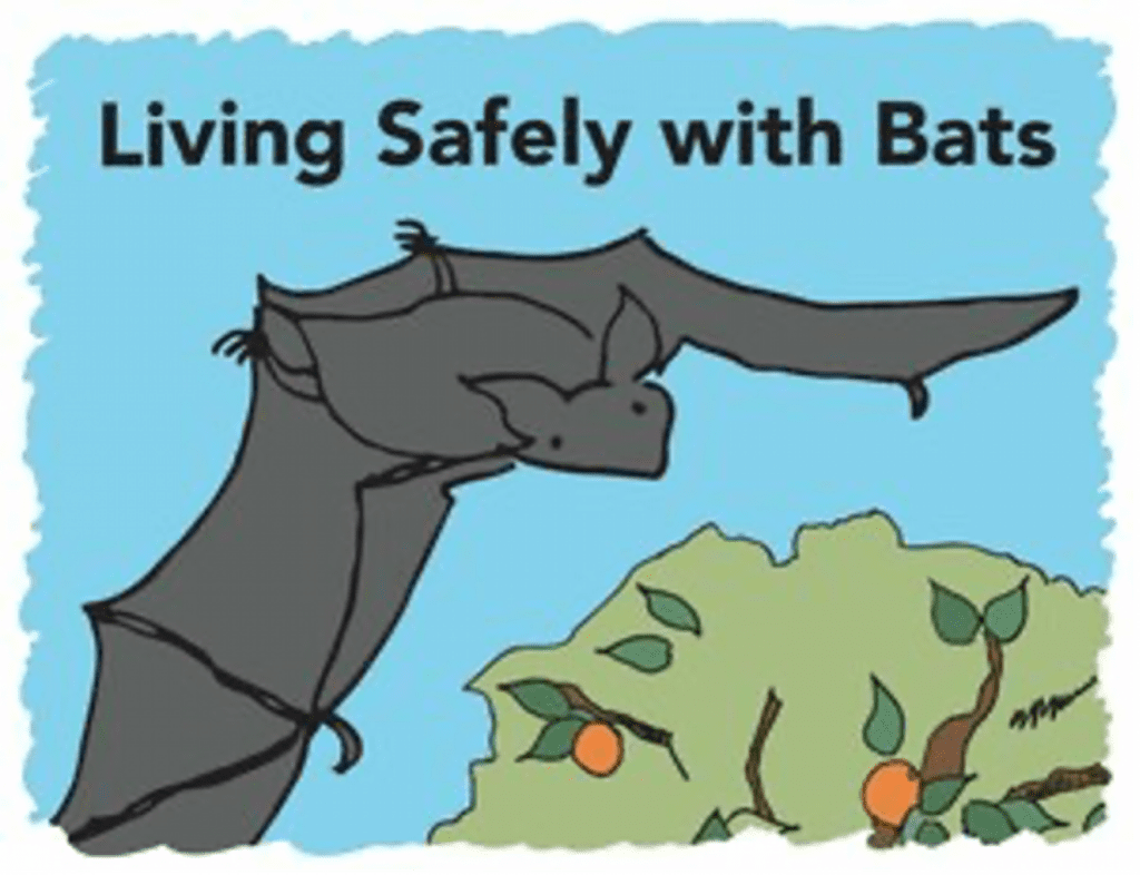 Living Safely with Bats: A One Health Educational Resource