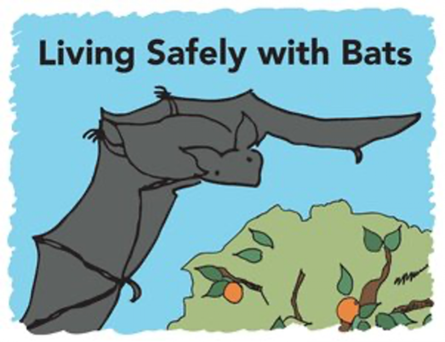 One Health Bat Living Safely with Bats: A One Health Educational Resource - GSAP ...