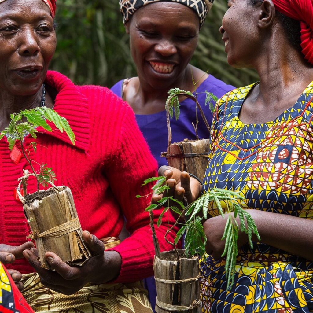 THE IGIHOHO PROJECT ECO-FRIENDLY SEED BAGS MADE FROM BANANA BARKS