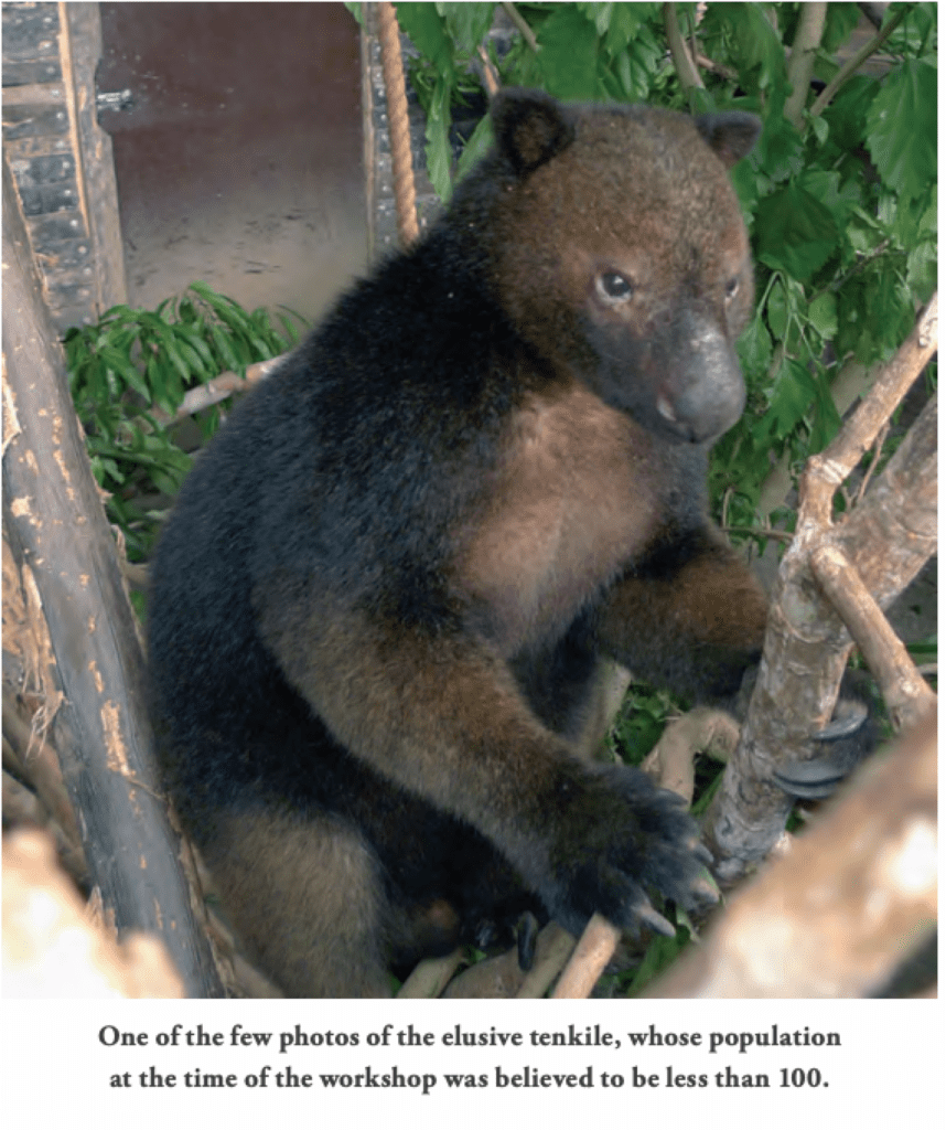 Three Claps for Conservation Landowners Play a Critical Role in the Fight for Tree Kangaroos