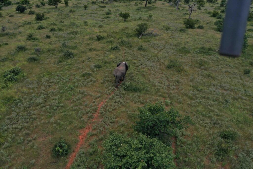 A Phased Approach to Increase Human Tolerance in Elephant Corridors to promote ecosystem connectivity