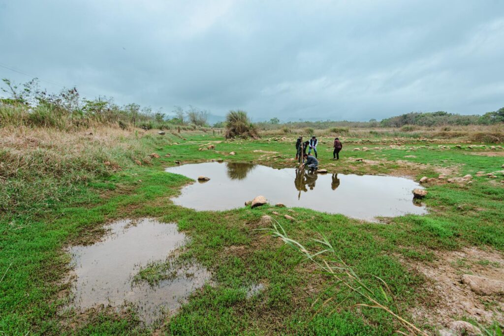 Endangered Species Conservation and Patrol Project Launched in Xingfu Wetland