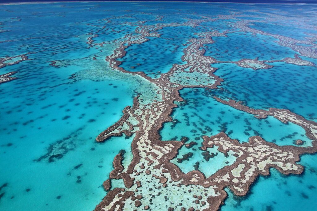 Connectivity Across the Great Barrier Reef