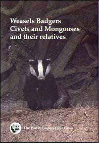 Weasels, badgers, civets and mongooses and their relatives