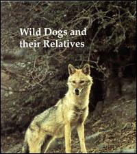 Wild dogs and their relatives