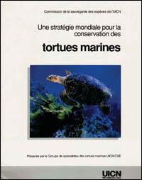 Une stratégie mondiale pour la conservation des tortues marines