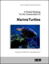 A global strategy for the conservation of marine turtles