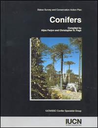 Conifers : status survey and conservation action plan