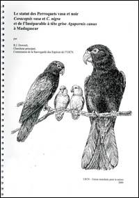 Le statut des perroquets vasa et noir Coracopsis vasa et C. nigra et de l'Inséparable à tête grise Agopornis canus à Madagascar