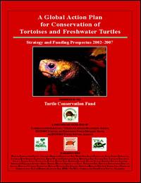 A global action plan for conservation of tortoises and freshwater turtles : strategy and funding prospectus 2002-2007