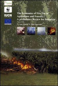 The economics of fire use in agriculture and forestry : a preliminary review for Indonesia