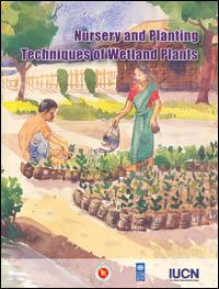 Nursery and planting techniques of wetland plants