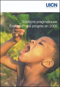 Solutions pragmatiques : évaluation des progrès en 2005