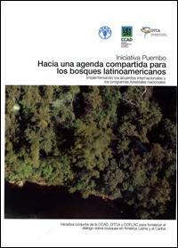 Iniciativa Puembo : hacia una agenda compartida para los bosques latinoamericanos. Implementando los acuerdos internacionales y los programas forestales nacionales