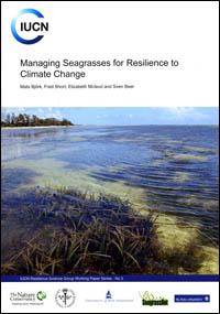 Managing seagrasses for resilience to climate change