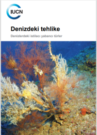 Denizdeki tehlike