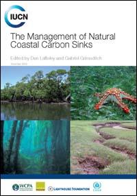 The management of natural coastal carbon sinks