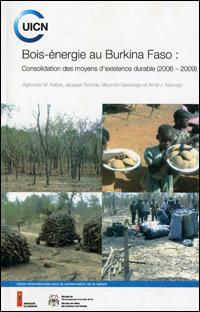 Bois-énergie au Burkina Faso : consolidation des moyens d'existence durable (2006-2009)