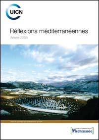 Réflexions méditerranéennes : année 2008
