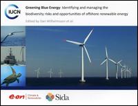 Greening blue energy : identifying and managing the biodiversity risks and opportunities of offshore renewable energy Greening blue energy : identifying and managing the biodiversity risks and opportunities of offshore renewable energy