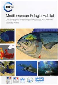 Mediterranean pelagic habitat : oceanographic and biological processes, an overview