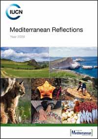 Mediterranean reflections : year 2009