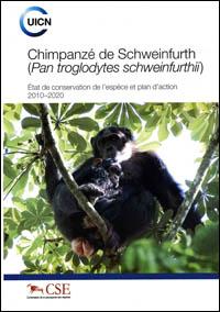 Chimpanzé de Schweinfurth (Pan troglodytes schweinfurthii) : état de conservation de l'espèce et plan d'action 2010-2020