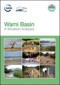 Wami basin : a situation analysis