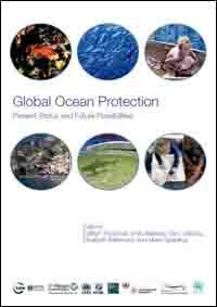 Global ocean protection : present status and future possibilities