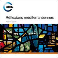 Réflexions méditerranéennes : année 2010