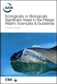 Ecologically or biologically significant areas in the pelagic realm : examples and guidelines : workshop report