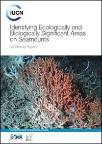 Identifying ecologically and biologically significant areas on seamounts